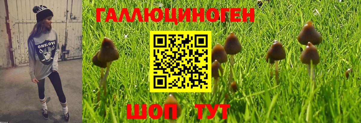 Галлюциногенные грибы MAGIC MUSHROOMS  Вход с VPN  Псилоцибиновые грибы Psilocybe  Морозовск 