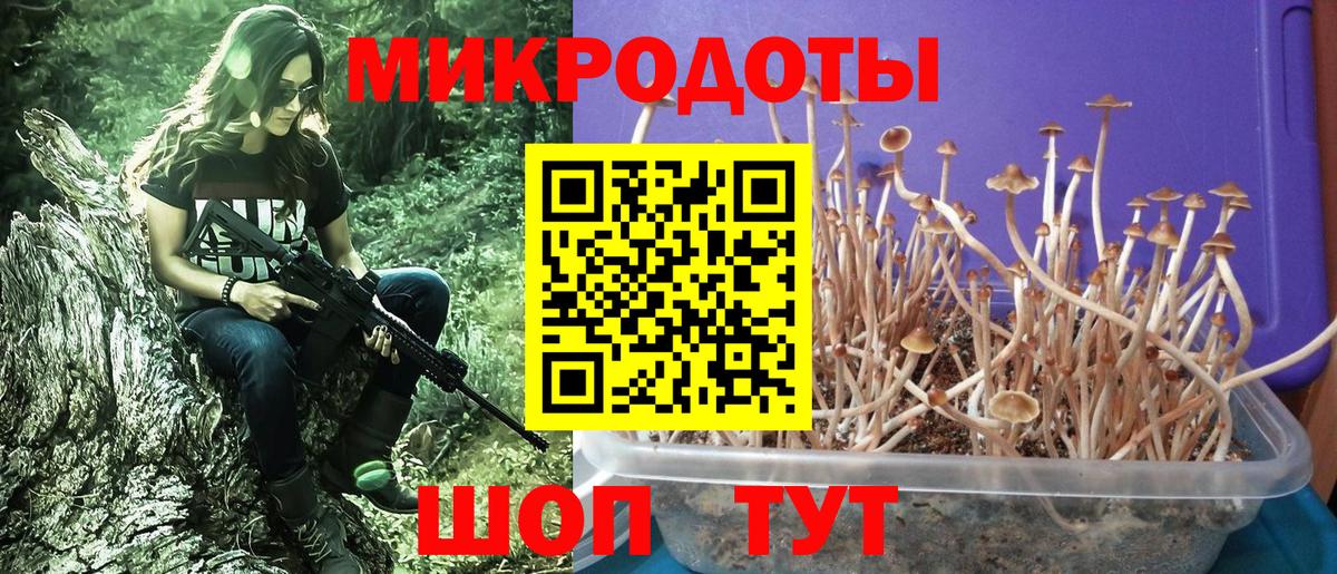 Галлюциногенные грибы MAGIC MUSHROOMS Морозовск