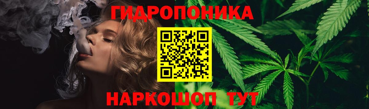 МАРИХУАНА семена  Шишки марихуана семена  Морозовск  Бошки Шишки планчик  Марихуана Amnesia  Вход с VPN 
